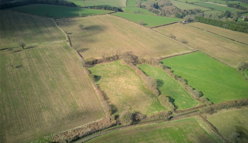 3 Acres Close To Ladywall, Richards Castle - Picture No. 03