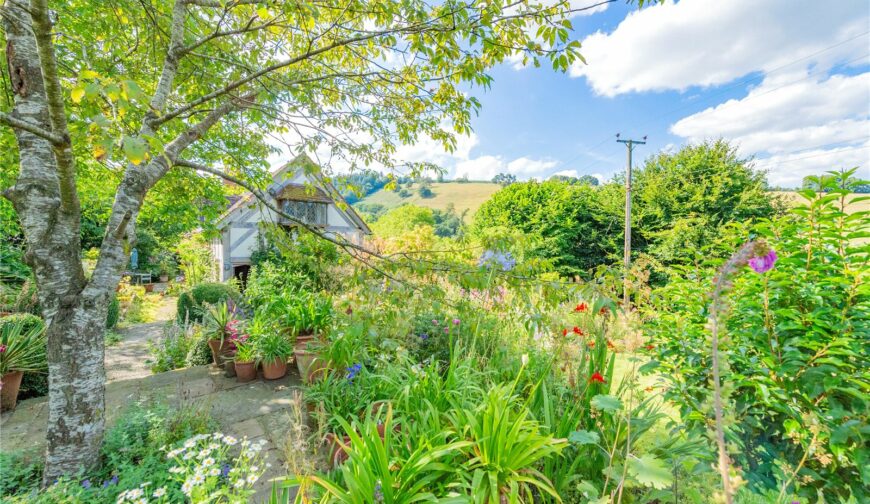 Cwm Cottage, Clunton - Picture No. 14