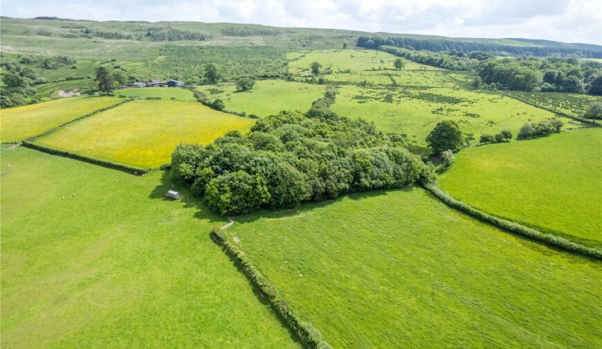 Bellan Estate, Llanerfyl - Picture No. 30