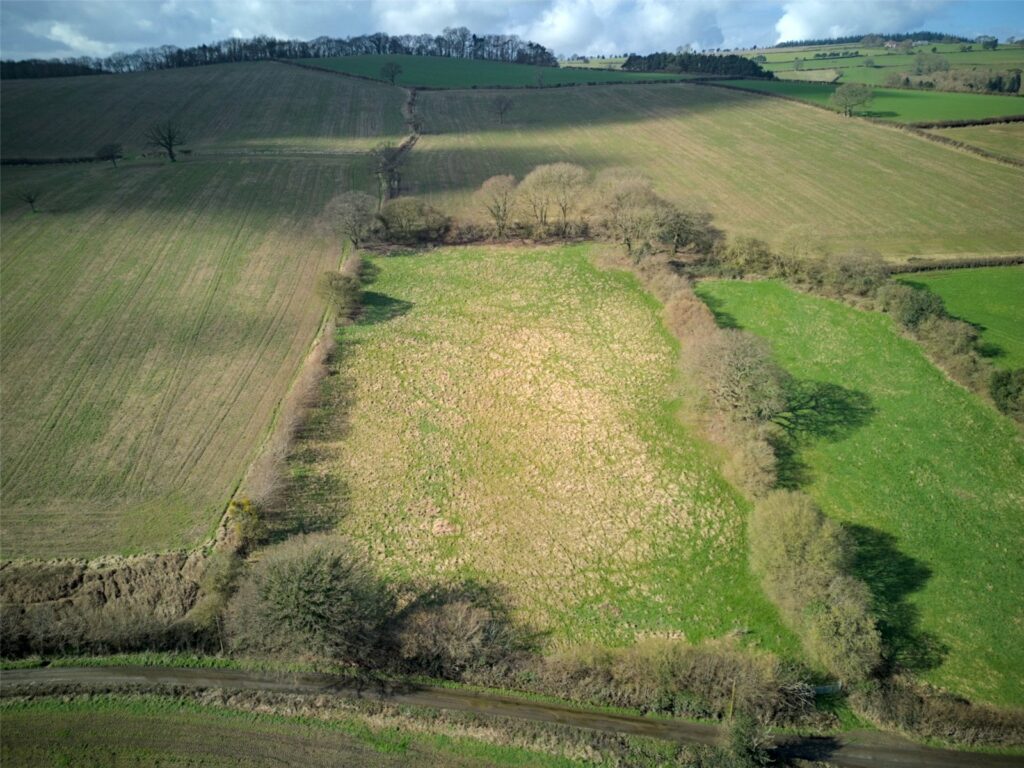 3 Acres Close To Ladywall, Richards Castle - Picture No. 17