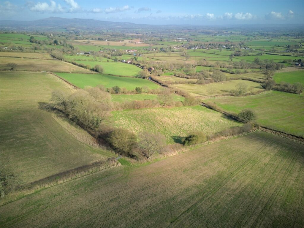 3 Acres Close To Ladywall, Richards Castle - Picture No. 18