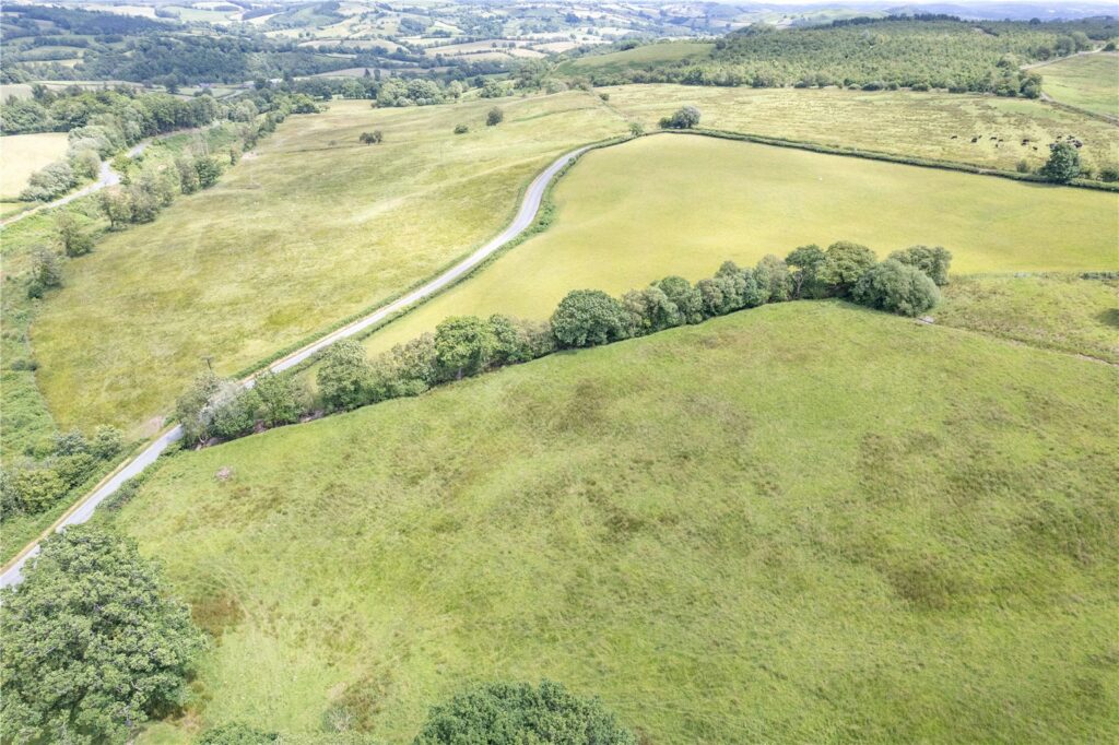 Land At Caepenfras, Llangadfan - Picture No. 04