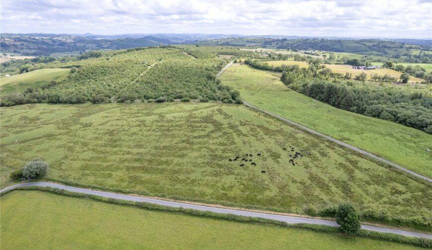 Land At Caepenfras, Llangadfan - Picture No. 06