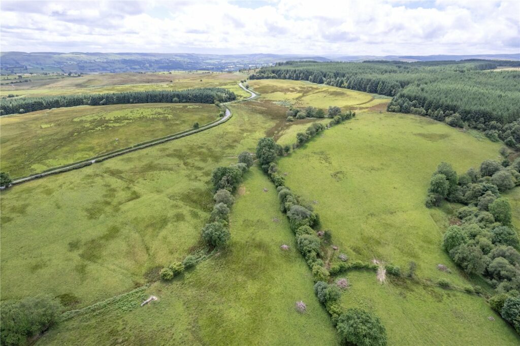 Land At Caepenfras, Llangadfan - Picture No. 10