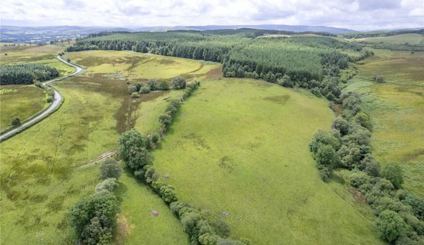 Land At Caepenfras, Llangadfan - Picture No. 11