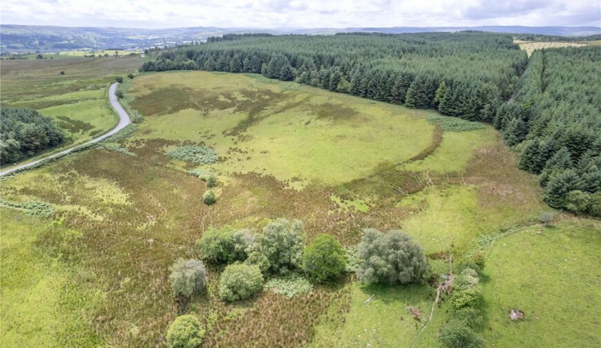 Land At Caepenfras, Llangadfan - Picture No. 03