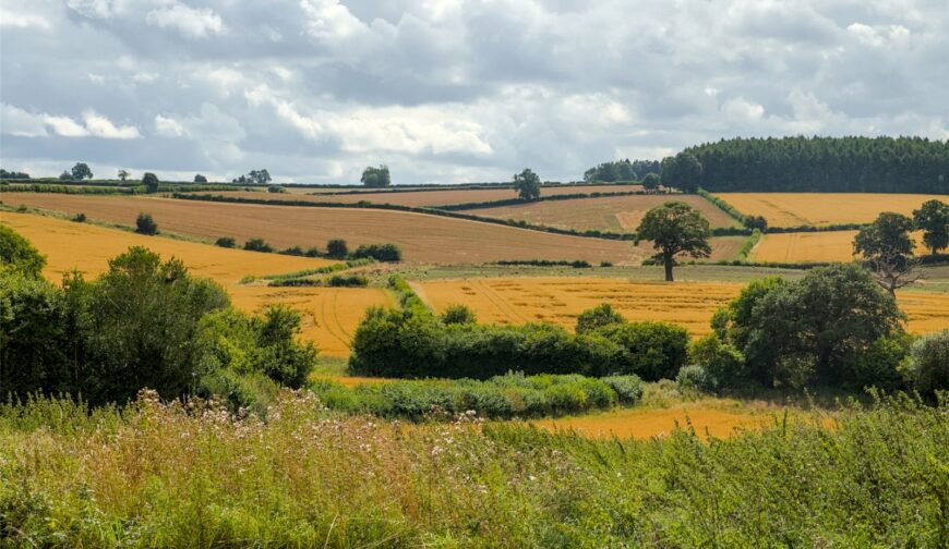 Wyke Farm Barns, Wyke - Picture No. 16