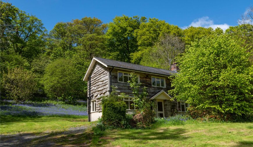 Fron Heulog, Llandderfel - Cottage