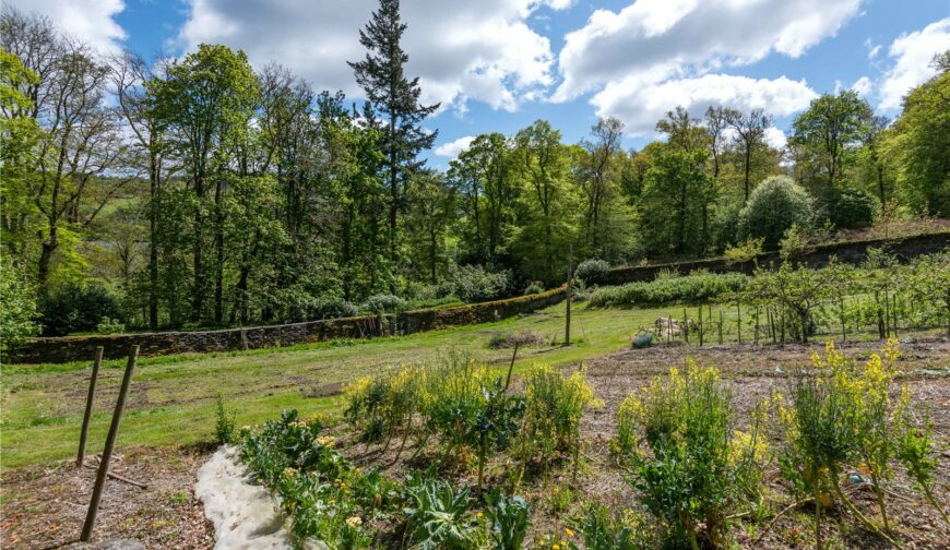 Fron Heulog, Llandderfel - Walled Garden