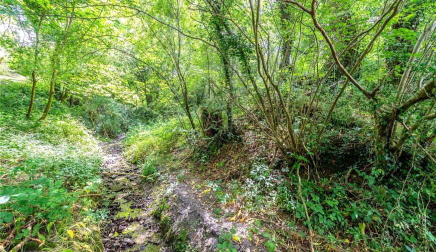 Penarth House, Pool Road - Woods