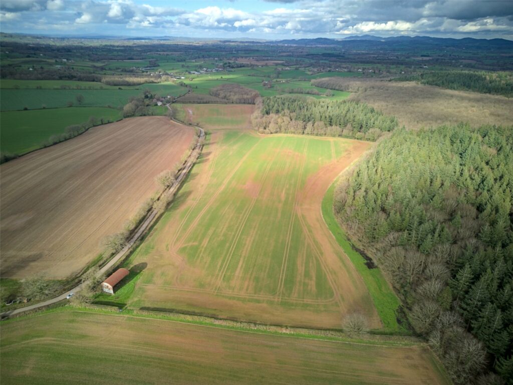 Land At Tedgewood, Upton Bishop - Picture No. 02