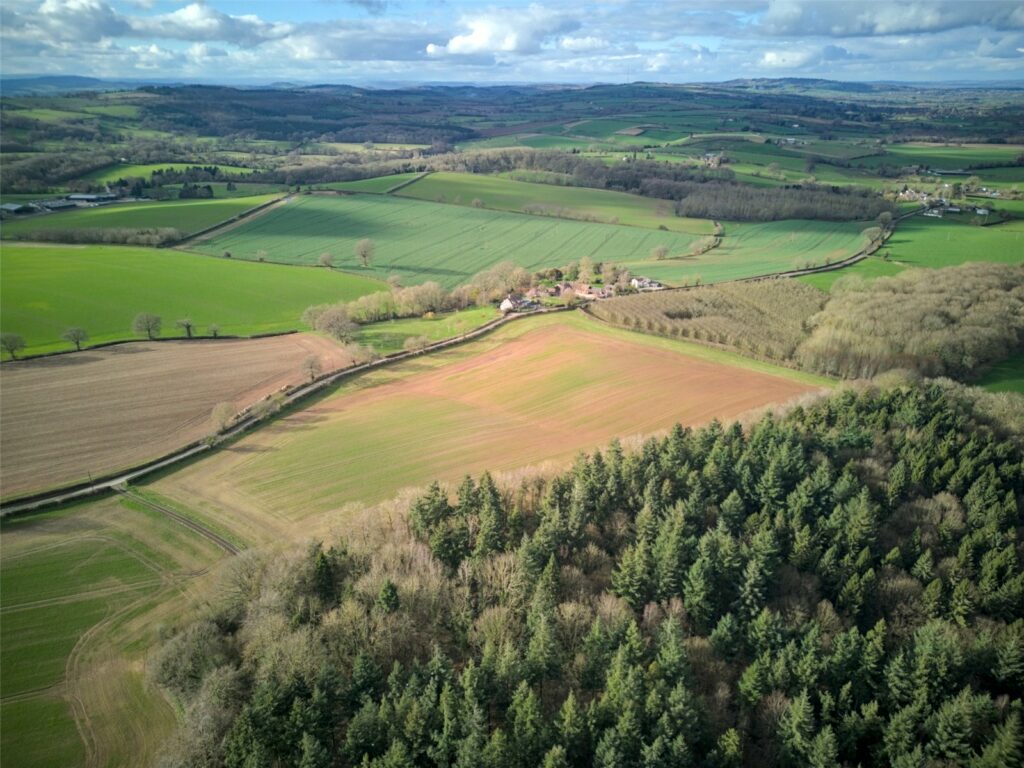 Land At Tedgewood, Upton Bishop - Picture No. 11