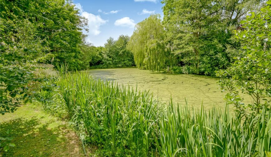 Maes Court, Knighton-on-Teme - 36