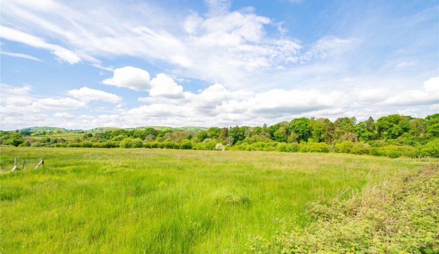 Residential Development, Crabtree Green - 5