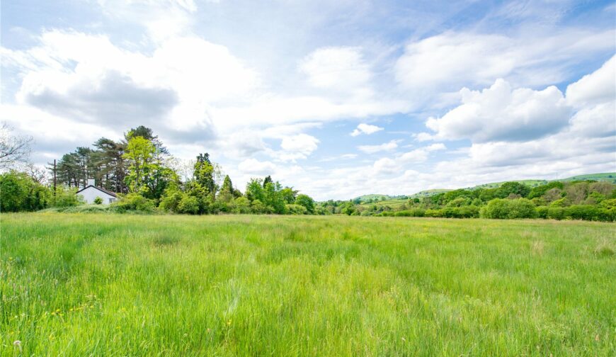 Residential Development, Crabtree Green - 8