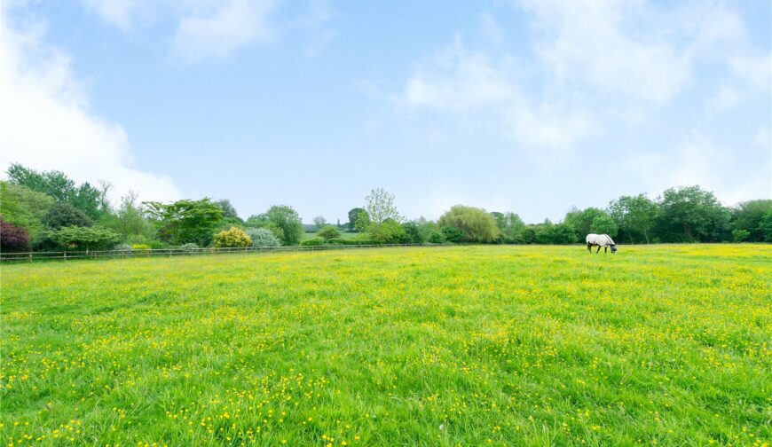 The Mill, Wykey - Paddock