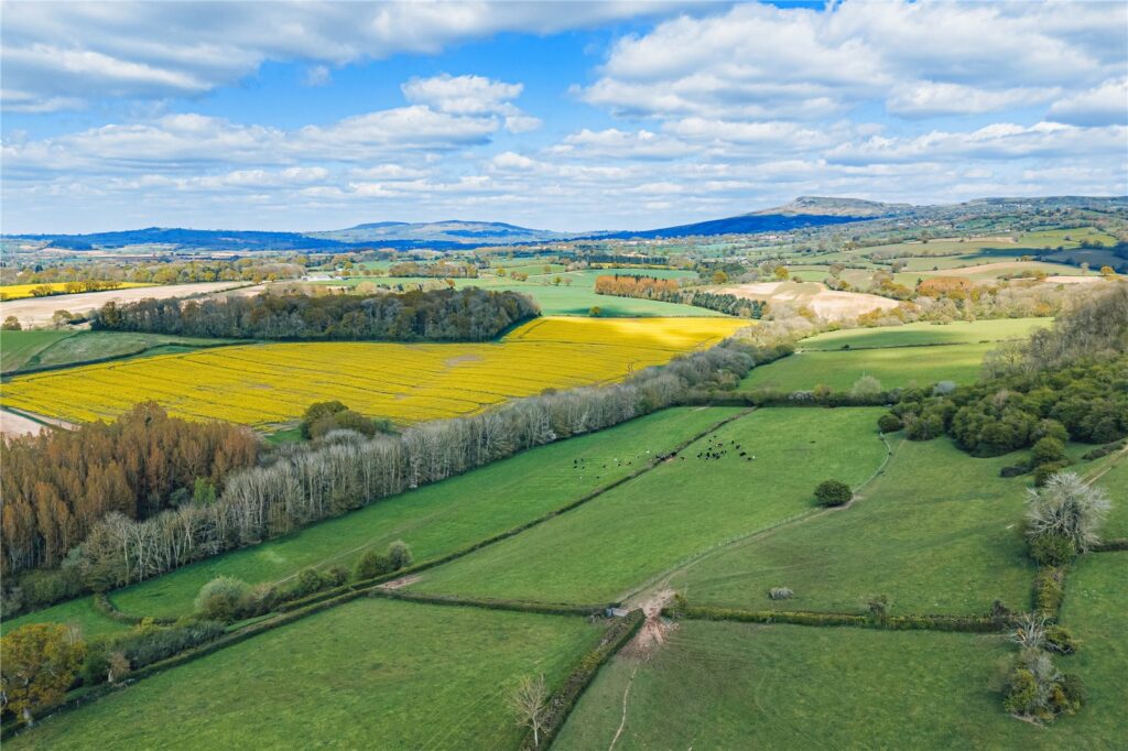 Poughnhill Farm, Caynham - Picture No. 19