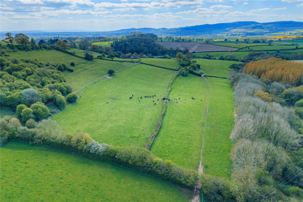 Poughnhill Farm, Caynham - Picture No. 22