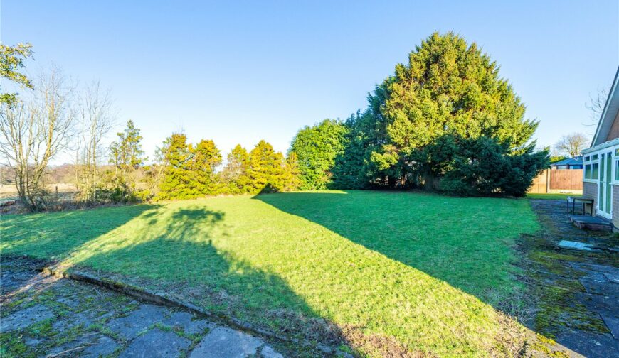 The Old Paddocks, New Works - Garden