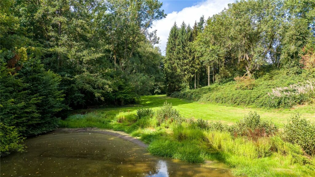 Lot 1 Land At Duxmoor Farm, Duxmoor - Picture No. 46