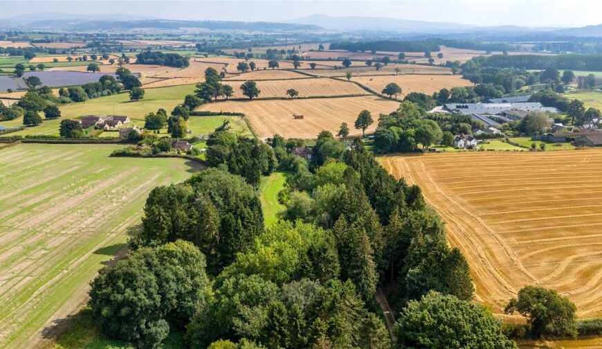 Lot 1 Land At Duxmoor Farm, Duxmoor - Picture No. 50