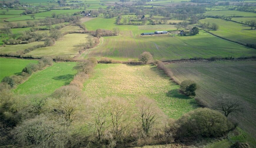 3 Acres Close To Ladywall, Richards Castle - Picture No. 13